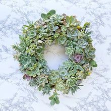 Load image into Gallery viewer, Living Succulent Wreath

